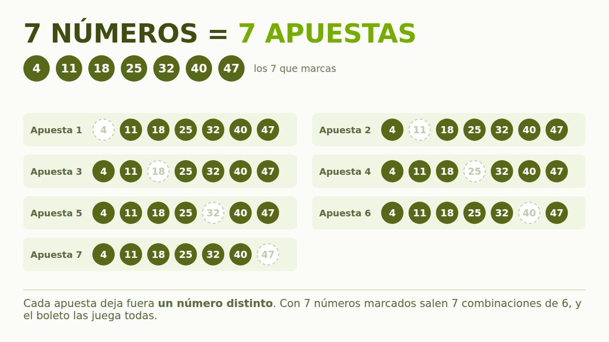 Los siete números de una múltiple de Bonoloto desarrollados en siete apuestas de seis
